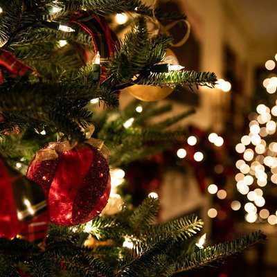 Media christmas tree thumbnail 400